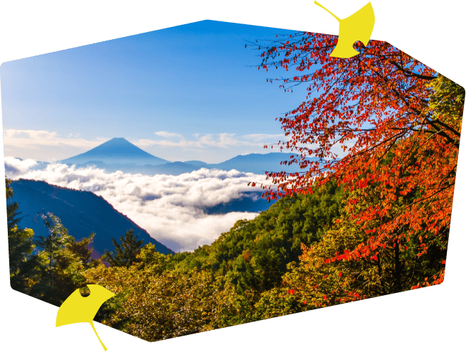 八ヶ岳の紅葉17 八ヶ岳をガイドする ハチ旅 八ヶ岳の紅葉17 八ヶ岳をガイドする ハチ旅