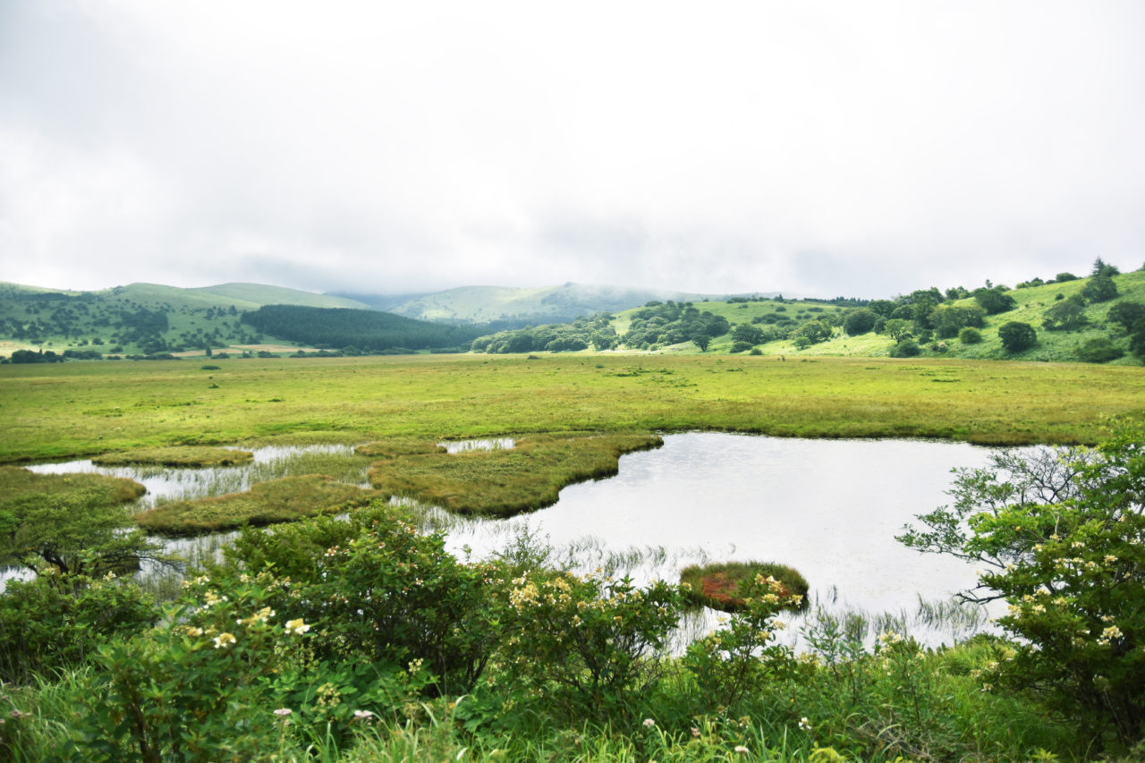八島ヶ原湿原（八島ビジターセンター） – 八ヶ岳をガイドする ハチ旅