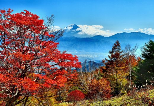 八ヶ岳紅葉速報17 甘利山など韮崎エリアもそろそろ紅葉シーズンに突入しはじめました 八ヶ岳をガイドする ハチ旅