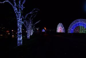 【八ヶ岳のイルミネーション2017】光の並木と名物の花火が迎える諏訪湖イルミネーション