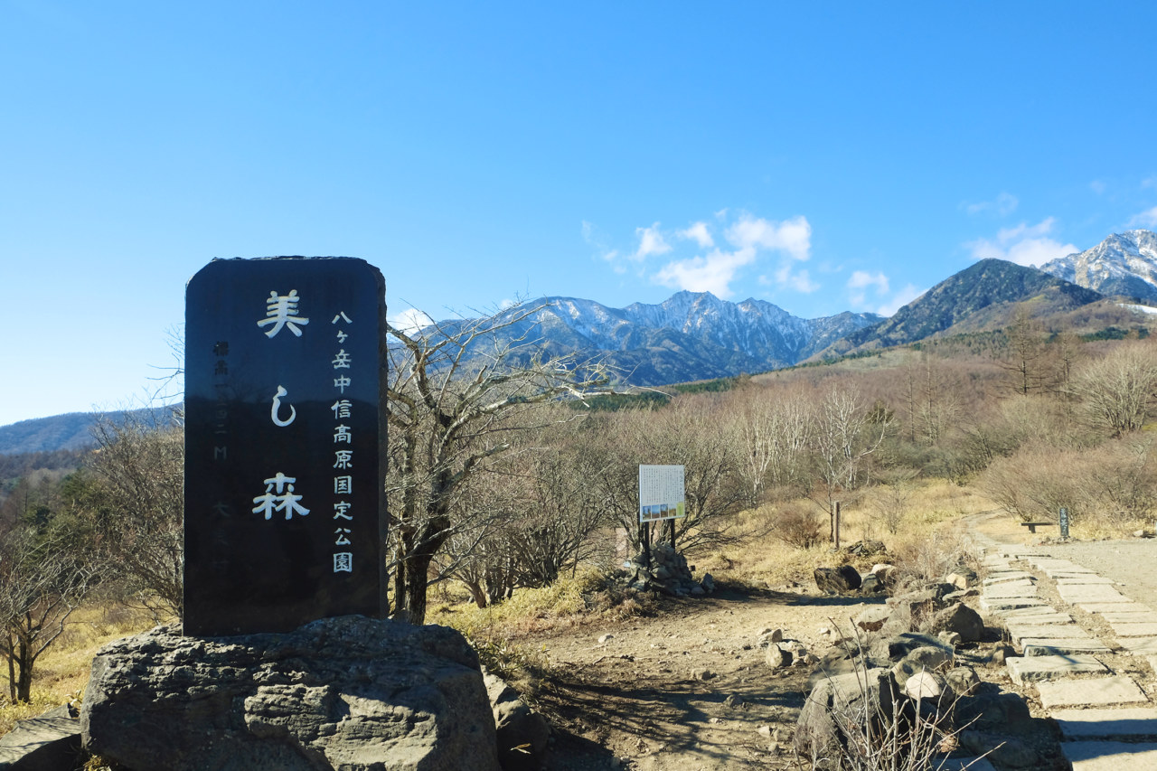 美し森展望台 八ヶ岳をガイドする ハチ旅