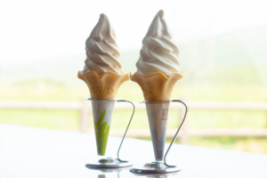 【八ヶ岳の絶品ソフトクリーム2018】アルチザン パレドオールの絶品チョコソフトなどソフトクリームの名店をご紹介