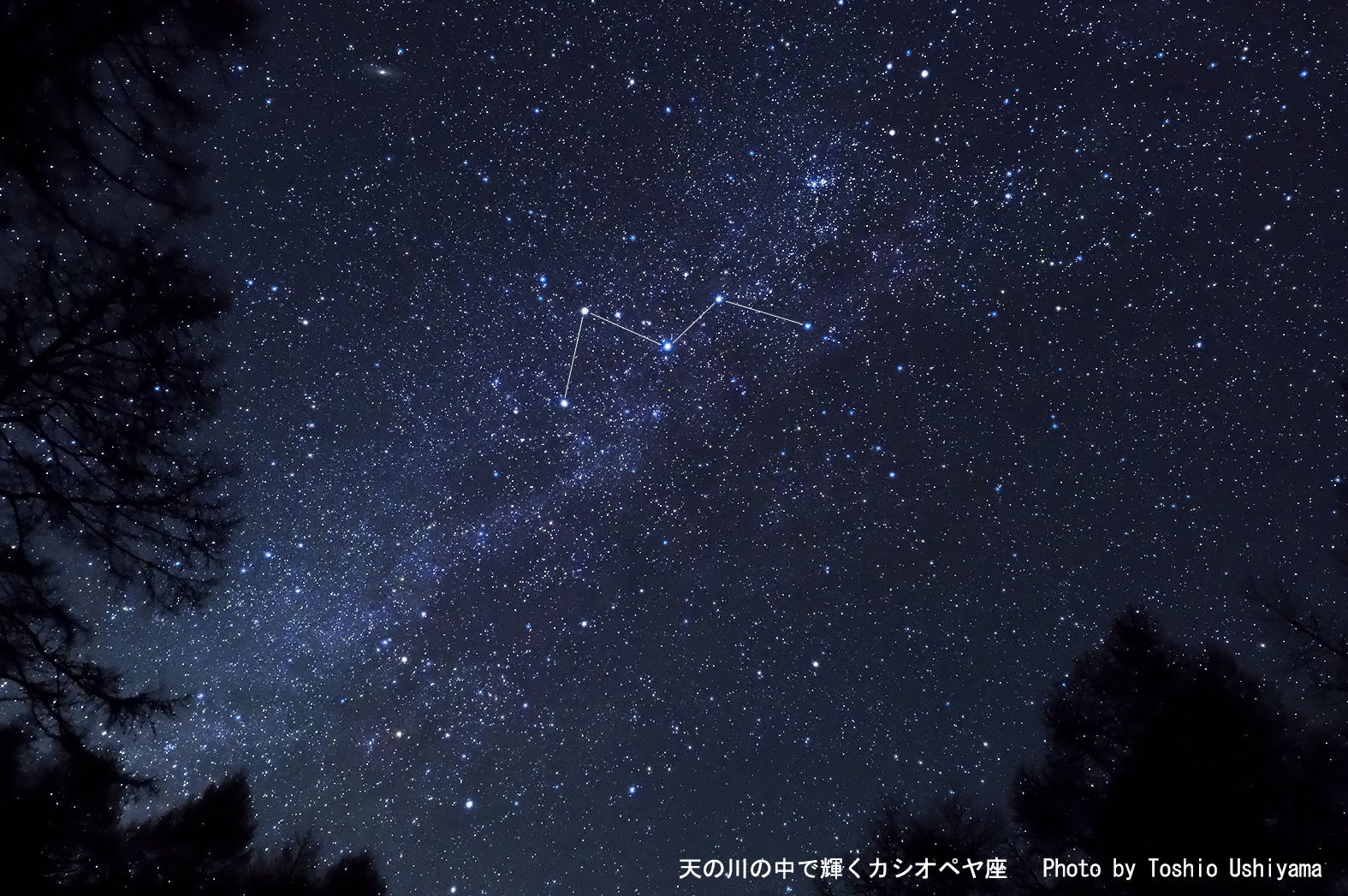 芝生に寝転んで冬の星空を観察 第9回みあげて星見里inむかわ は12月1日 八ヶ岳をガイドする ハチ旅