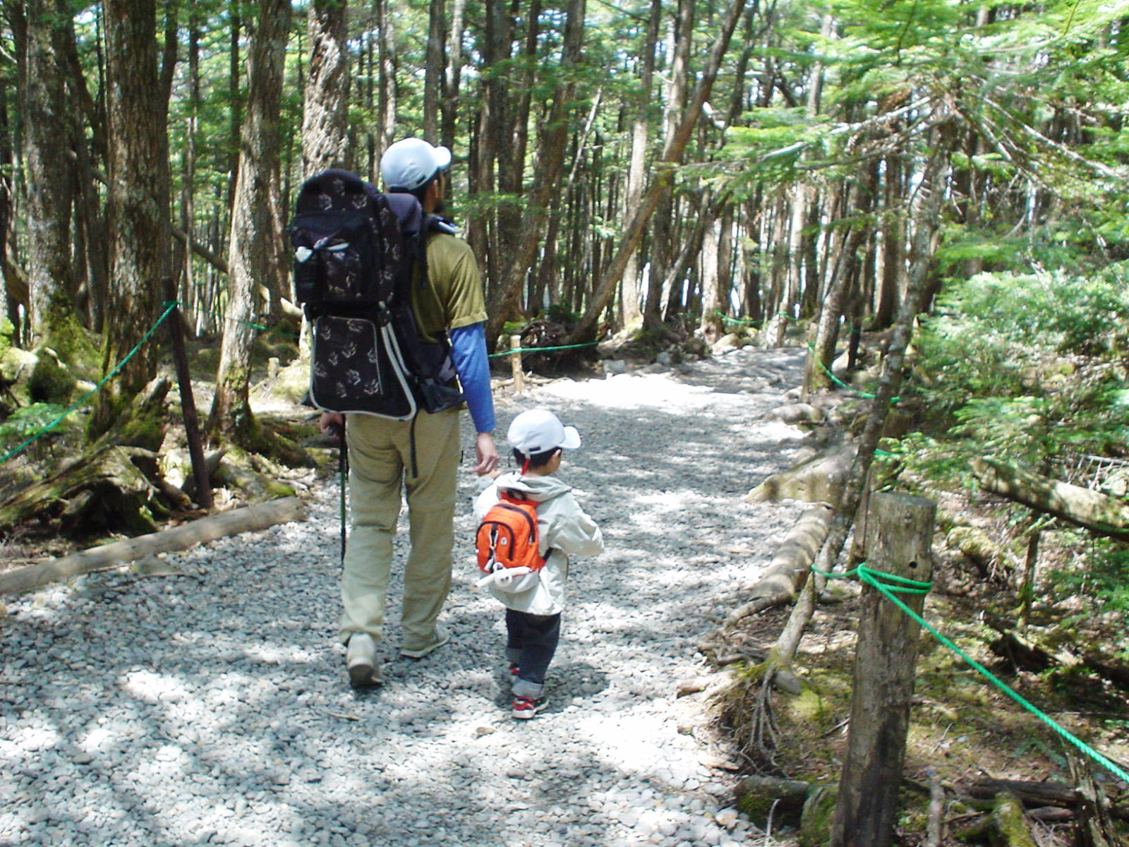 信州のいろんな山や自然を歩く 親子エコトレッキング 第1回の飯盛山ツアーは5月 八ヶ岳をガイドする ハチ旅