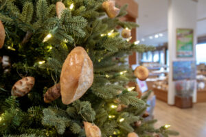 【八ヶ岳百景】パンのツリーやイルミなどクリスマスの装飾が各地に…今週は雪化粧も