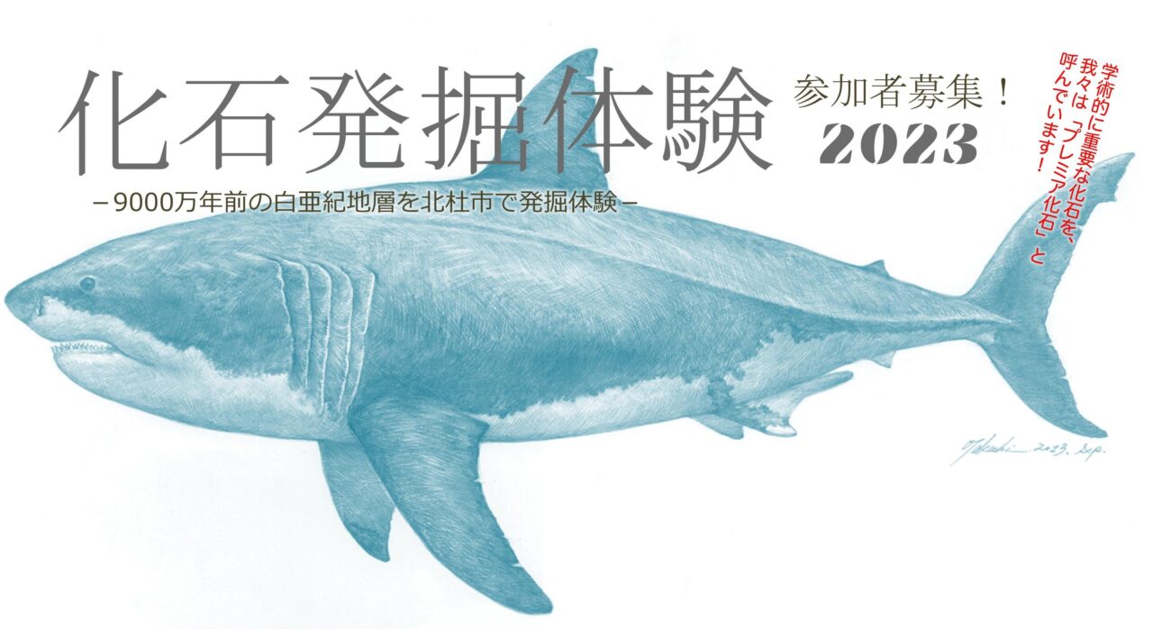 毎年即完の平山郁夫シルクロード美術館「化石発掘体験2023」、6月