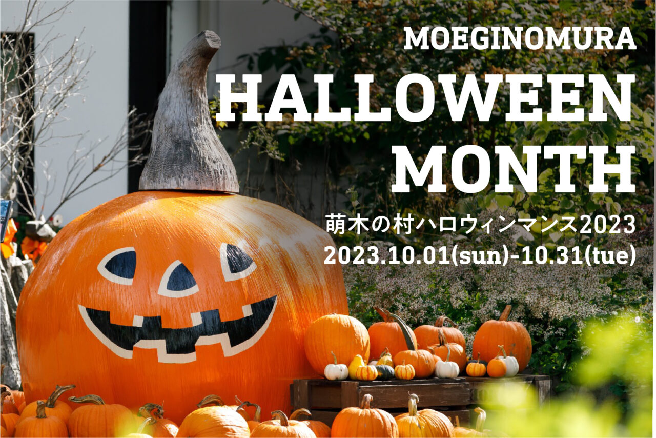 かぼちゃ ハロウィンの目玉！横に45cmぐらい かぼちゃ ハロウィンの目玉！横に45cmぐらい
