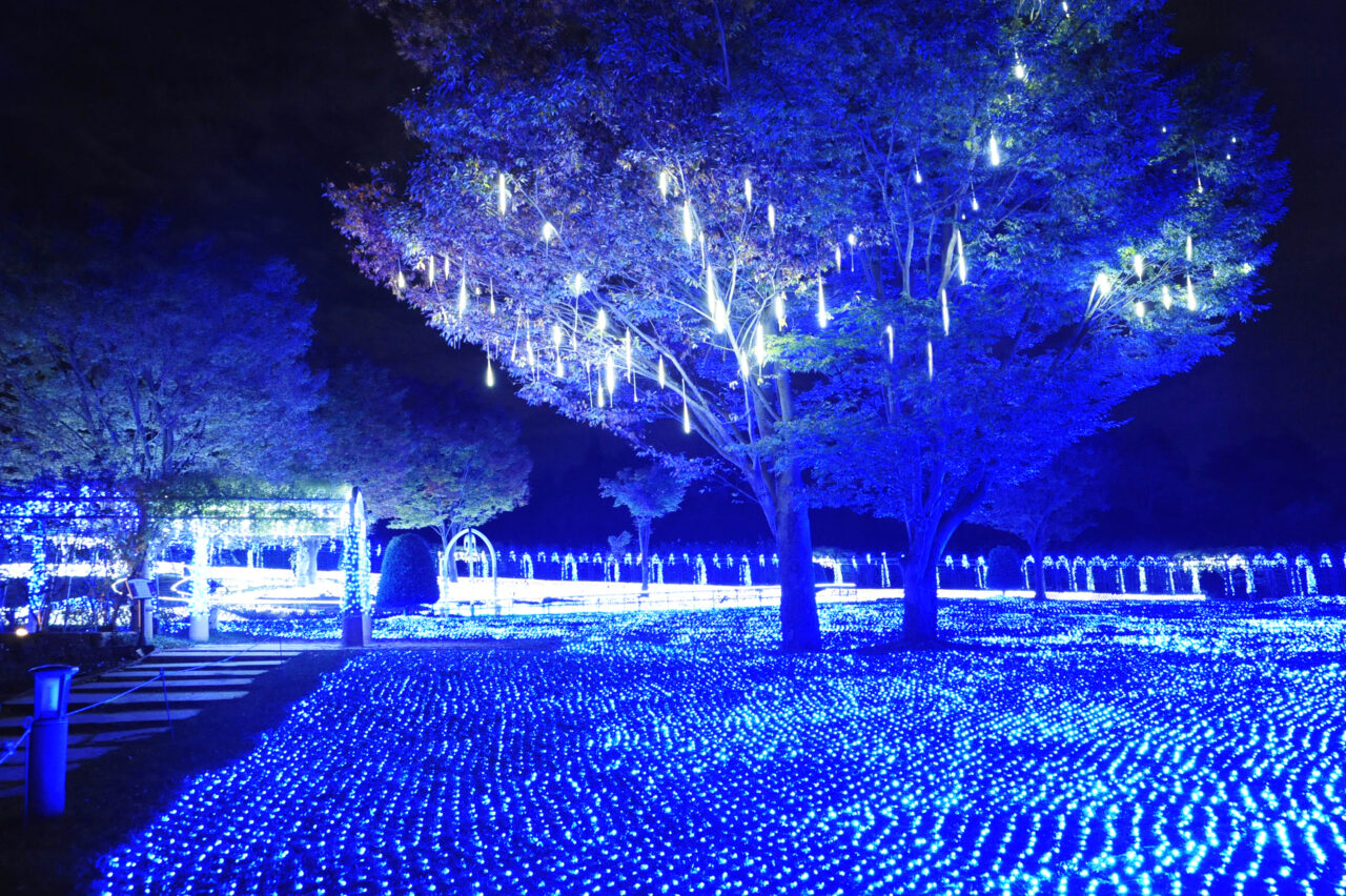 光に包まれるハイジの村「光のページェント」今年も開催中！ リースや