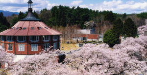 【八ヶ岳の桜特集2025 フォトスポット編】北杜市から蓼科まで7個のさまざまなロケーションをご紹介！