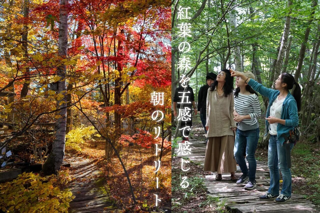 紅葉の森を五感で楽しむ体験ツアー「朝の森 de 癒しのリトリート」in