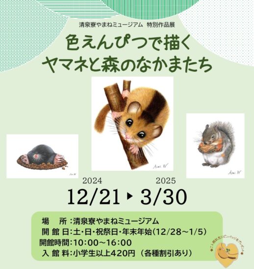 日本で唯一のヤマネの博物館で冬の特別企画展「色えんぴつで描く