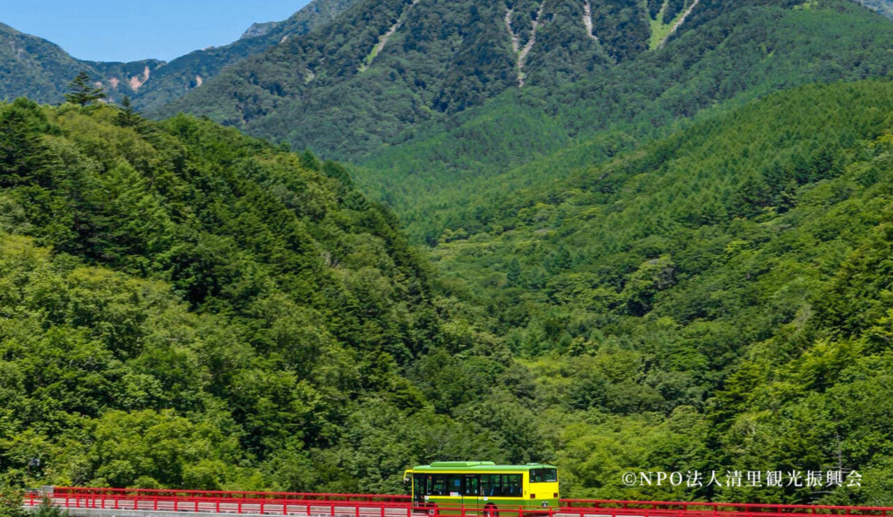 250425picnicbus_03-1280x742.jpg