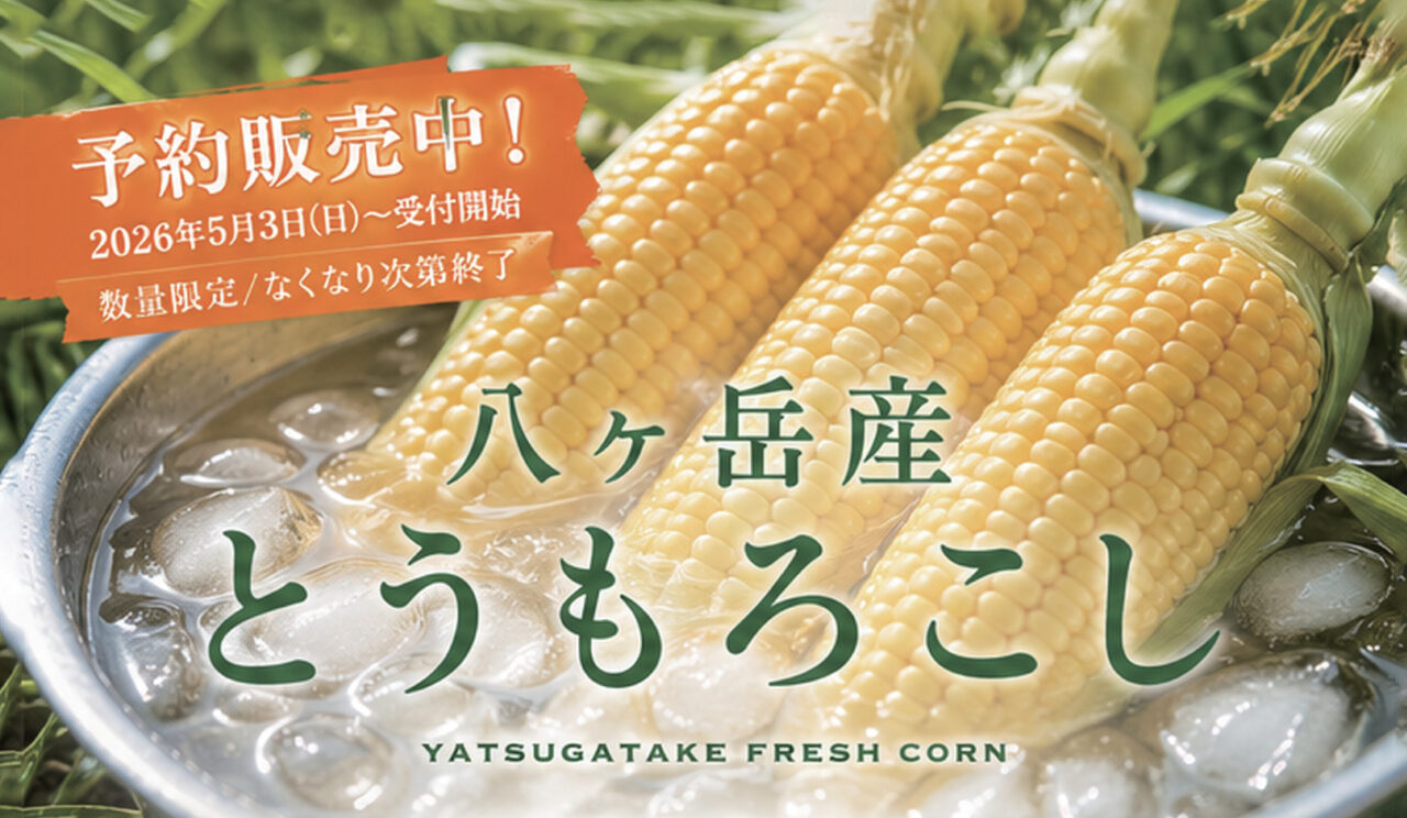 8katte厳選【八ヶ岳のとうもろこし3選】八ヶ岳の旬をまるごとお届け 