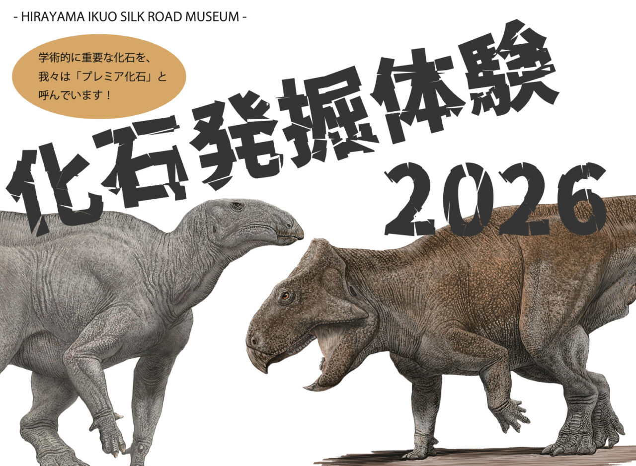 定員残りあとわずか！ 9000万年前の白亜紀地層からプレミア化石を探す